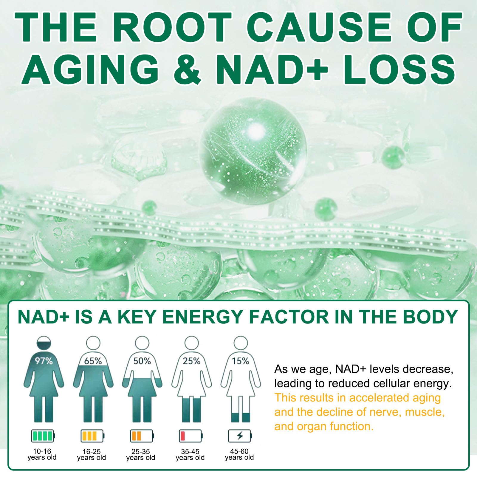 NAD Supplement 120 Capsules, Liposomal Nicotinamide Riboside, Resveratrol, Quercetin, NAD Nicotinamide Riboside Resveratrol 910mg for Women & Men, NAD Supplement for Anti Aging and Cell Regeneration KZUO buy australia supplements