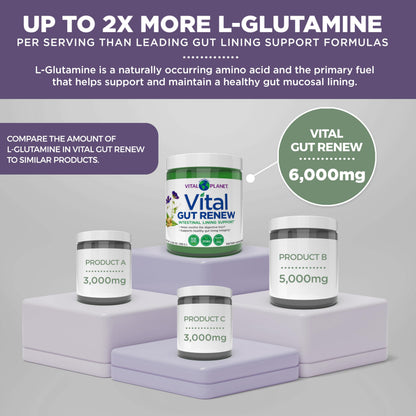 Vital Planet - Vital Gut Renew Powder Supplement for Leaky Gut Repair with L-Glutamine, Marshmallow and Ginger Root, DGL Licorice Root and Organic Vital Planet