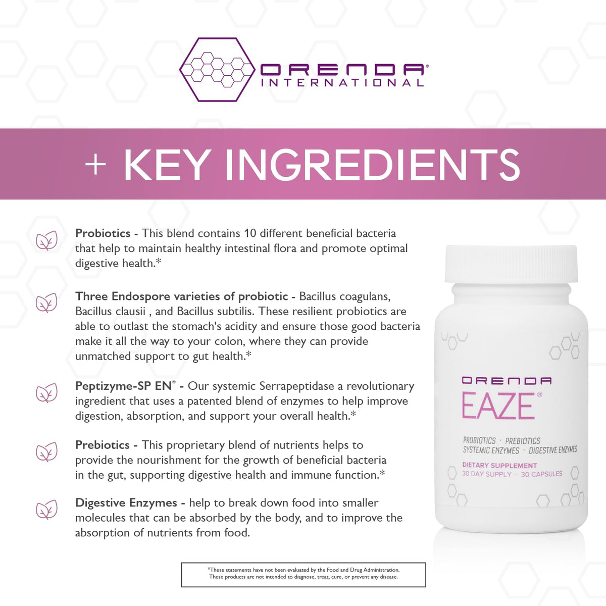 Orenda Eaze®: Gut Wellness Capsules | 6-in-1 Digestive Support with Probiotics, Endospores, Peptizyme-SP EN, Prebiotics, and Digestive Enzymes Orenda International