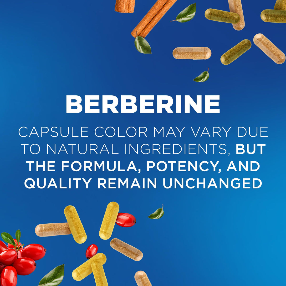 Nutrivein Premium Berberine 1200 mg with Ceylon Cinnamon - 120 Capsules: High-Absorption Berberine Supplement Nutrivein