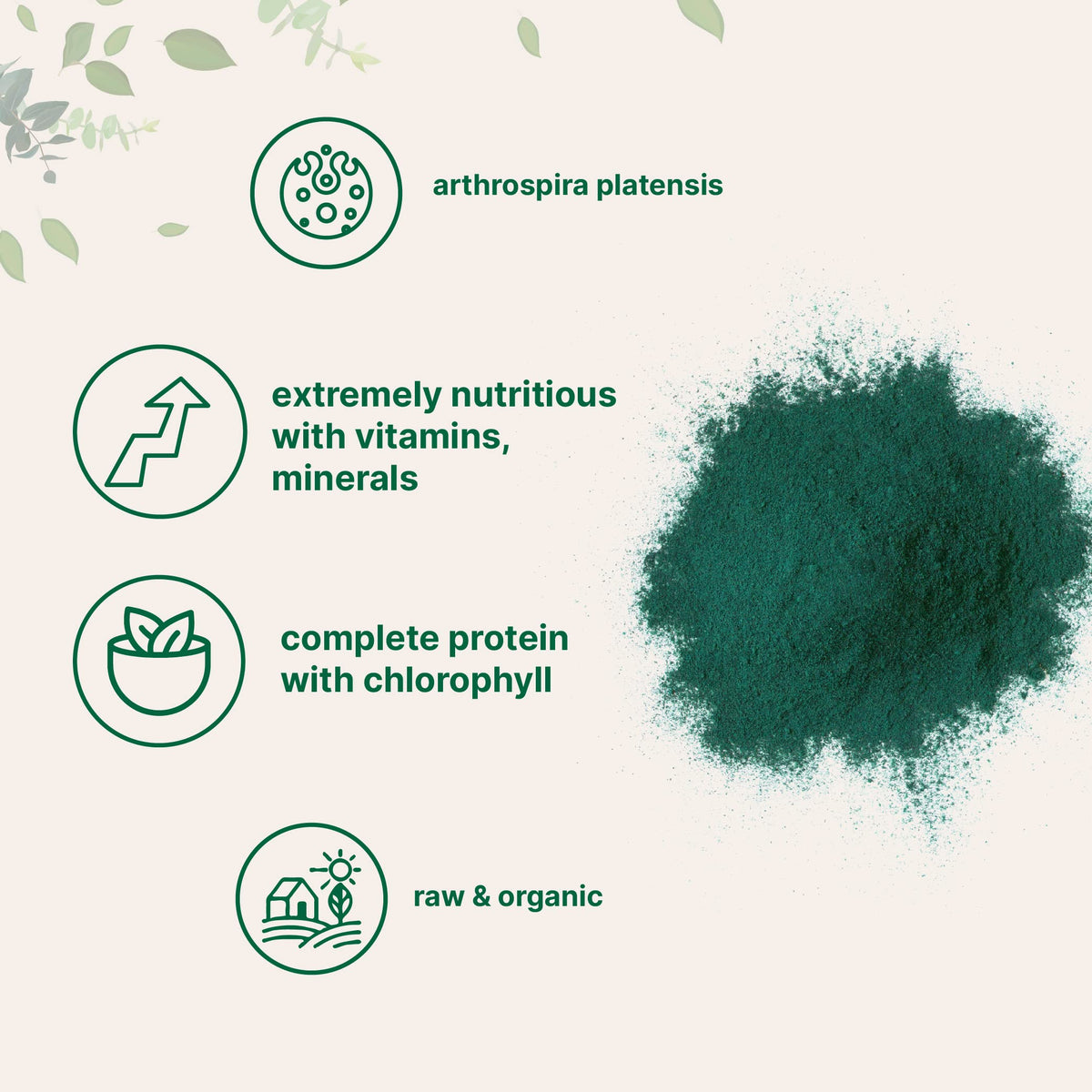 Micro Ingredients Organic Spirulina Powder, 1lb | Blue-Green Algae, Rich in Vegan Protein, Vitamins & Minerals | Source of Natural Chlorophyll & Enzymes Micro Ingredients