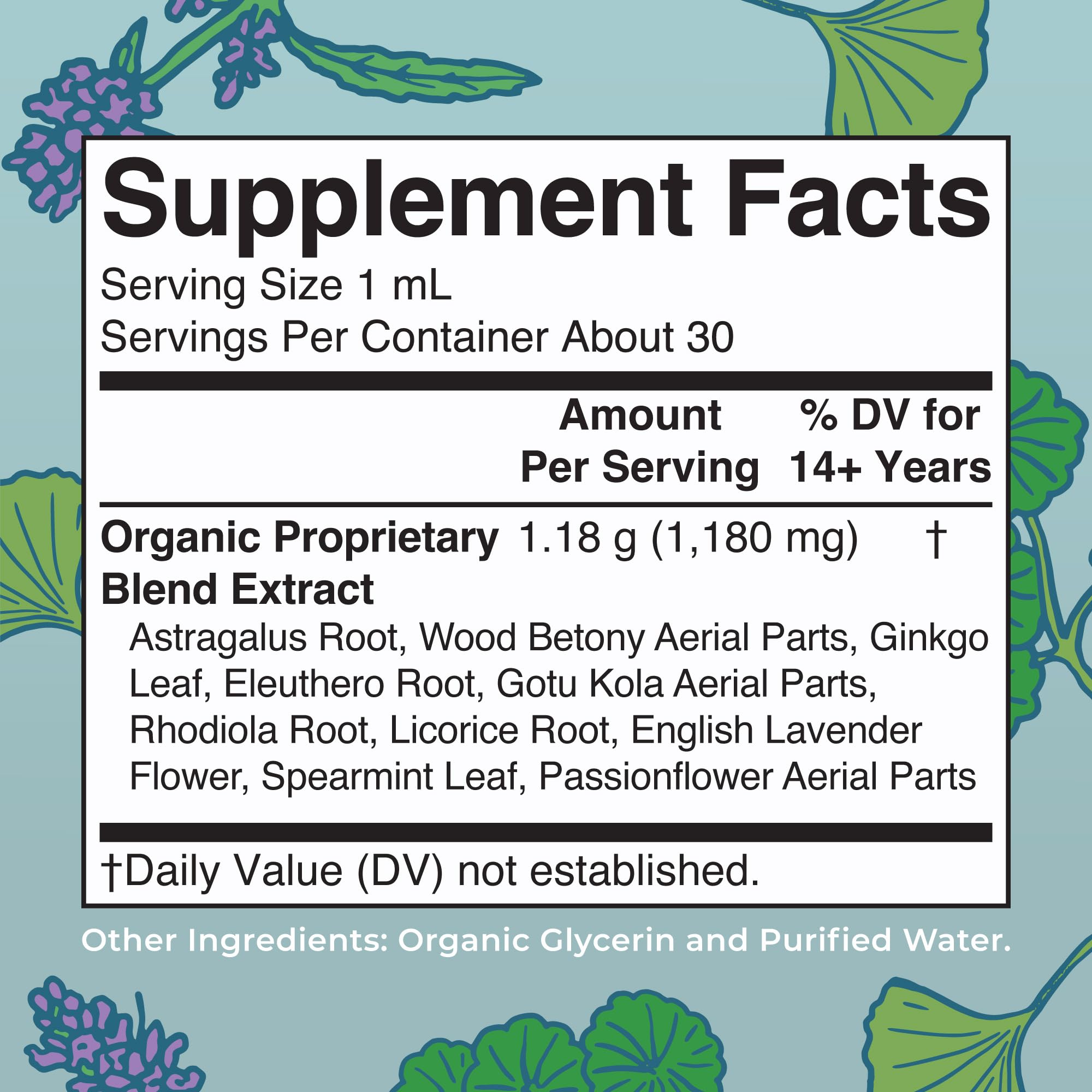 MaryRuth Organics - USDA Organic Brain Nootropic Supplement for Adults with Ginkgo Biloba & Astragalus | Focus & Adrenal Support | Brain & Memory Drops | Vegan | Non-GMO | Gluten Free | 30 Servings MARYRUTH'S buy australia supplements