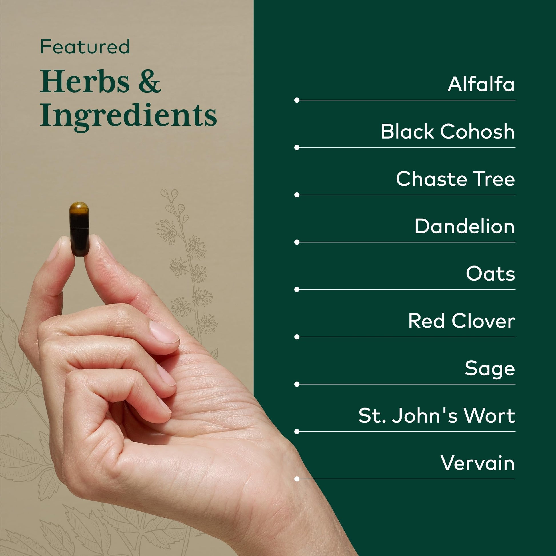GAIA HERBS PRO Female Support Formula - Supports Healthy PMS & Menopause Fluctuations with Alfalfa Leaf, Black Cohosh Root Extract, Dandelion Root & More* - Vegan - 60 Liquid Phyto-Caps (60 Servings) Gaia Herbs PRO buy australia supplements