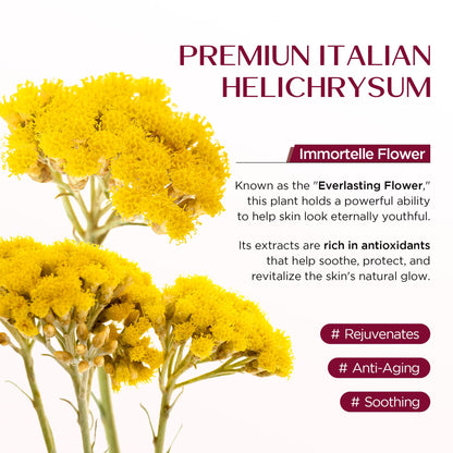 Vigority Helichrysum Balm Soothes & Repairs: Restorative Arnica Cream with Calendula for Fragile, Thin Skin & Bruise-Prone – Moisturizes, Revitalizes & Strengthens Skin Barrier for Adult Seniors 3.4oz Vigority