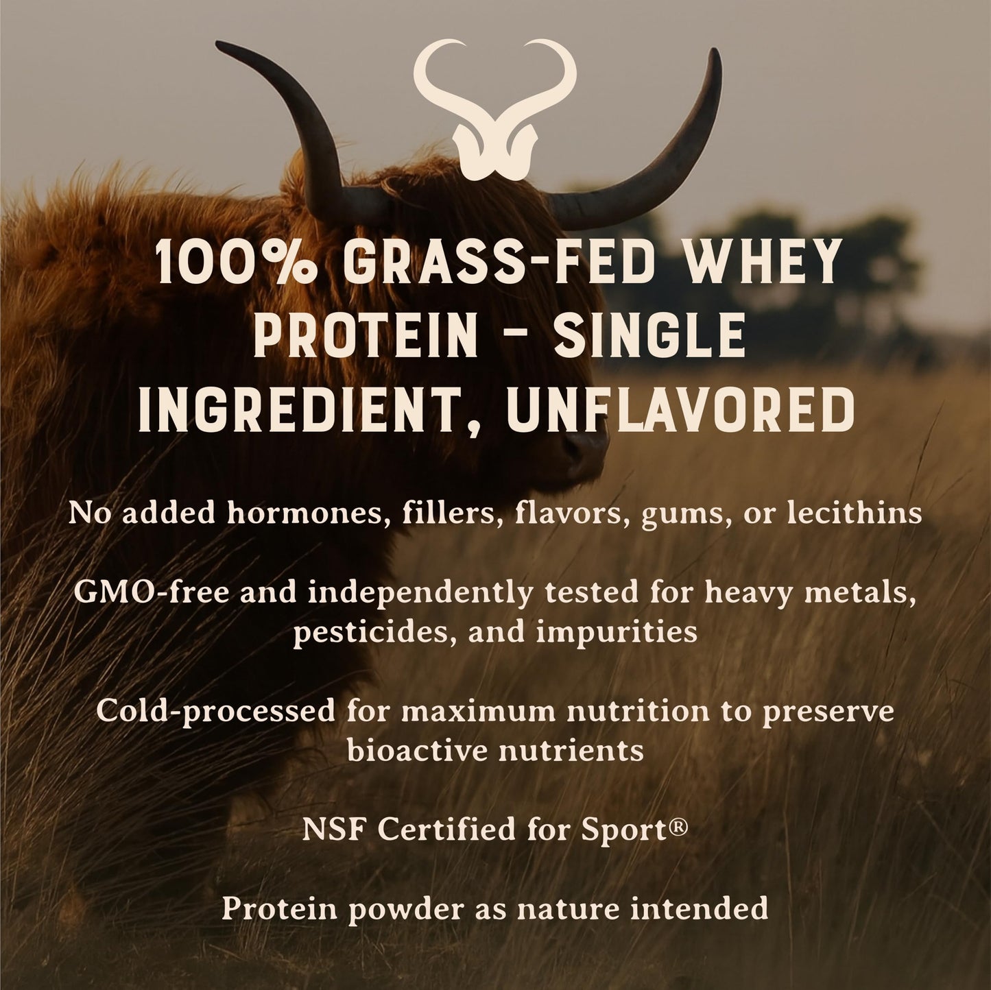 100% Grass Fed Whey Chocolate Protein Powder – Only Four Ingrediants, Absolutely Nothing Artificial – 25g of Grass Fed Whey Protein Per Serving – Clean Post Workout Recovery Powder – 2.84 lbs