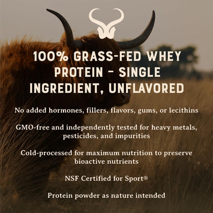 100% Grass Fed Whey Chocolate Protein Powder – Only Four Ingrediants, Absolutely Nothing Artificial – 25g of Grass Fed Whey Protein Per Serving – Clean Post Workout Recovery Powder – 2.84 lbs
