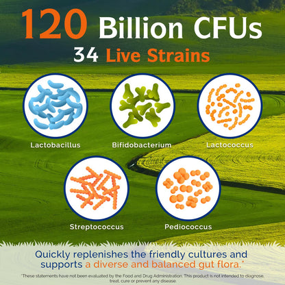 Innate Vitality Probiotics 120 Billion CFUs for Men & Women, 34 Strains with Prebiotics & Digestive Enzymes, Immune & Digestive Health Innate Vitality