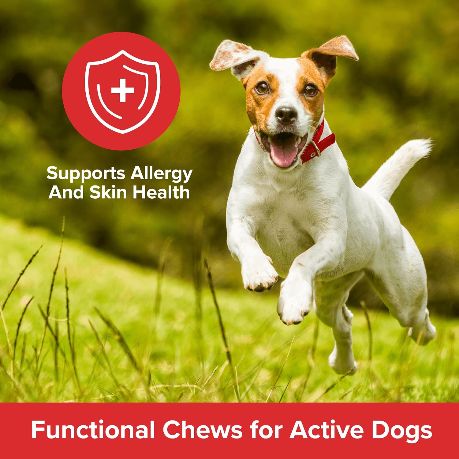 PLATO Pet Treats Air-Dried Wellness Chews for Dogs – Functional Dog Chews – Supports Skin Health & Allergy Relief – Salmon Oil, Colostrum & Quercetin Recipe 8oz Gsupps Australia