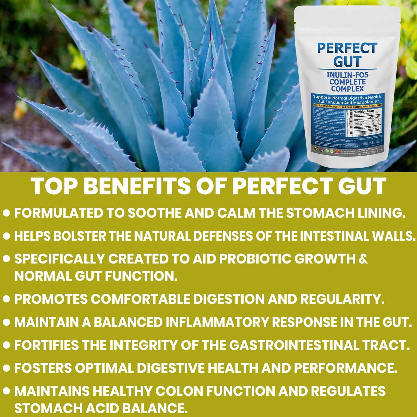 Perfect Gut: Inulin FOS Powder for Gut Health. Prebiotic Inulin. Unique Prebiotic 95% FOS Inulin Agave Fiber Kidney Restore