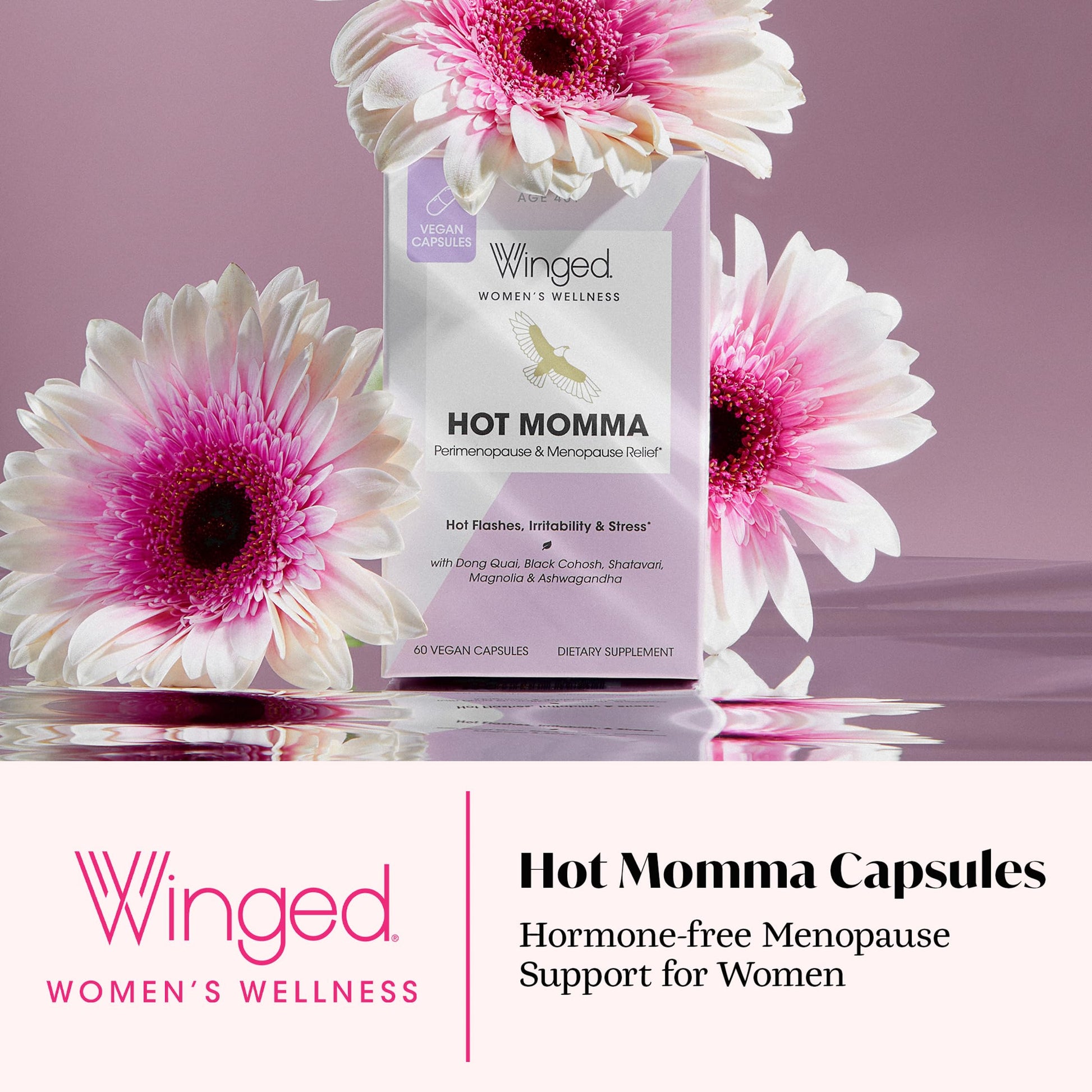 Winged Wellness Hot Momma Menopause Supplements for Women - Hormone-Free Menopause Relief Support for Hot Flashes & Night Sweats with Chaste Tree Berry, Multivitamins & Shatavari - 60 Vegan Capsules Winged Wellness buy australia supplements