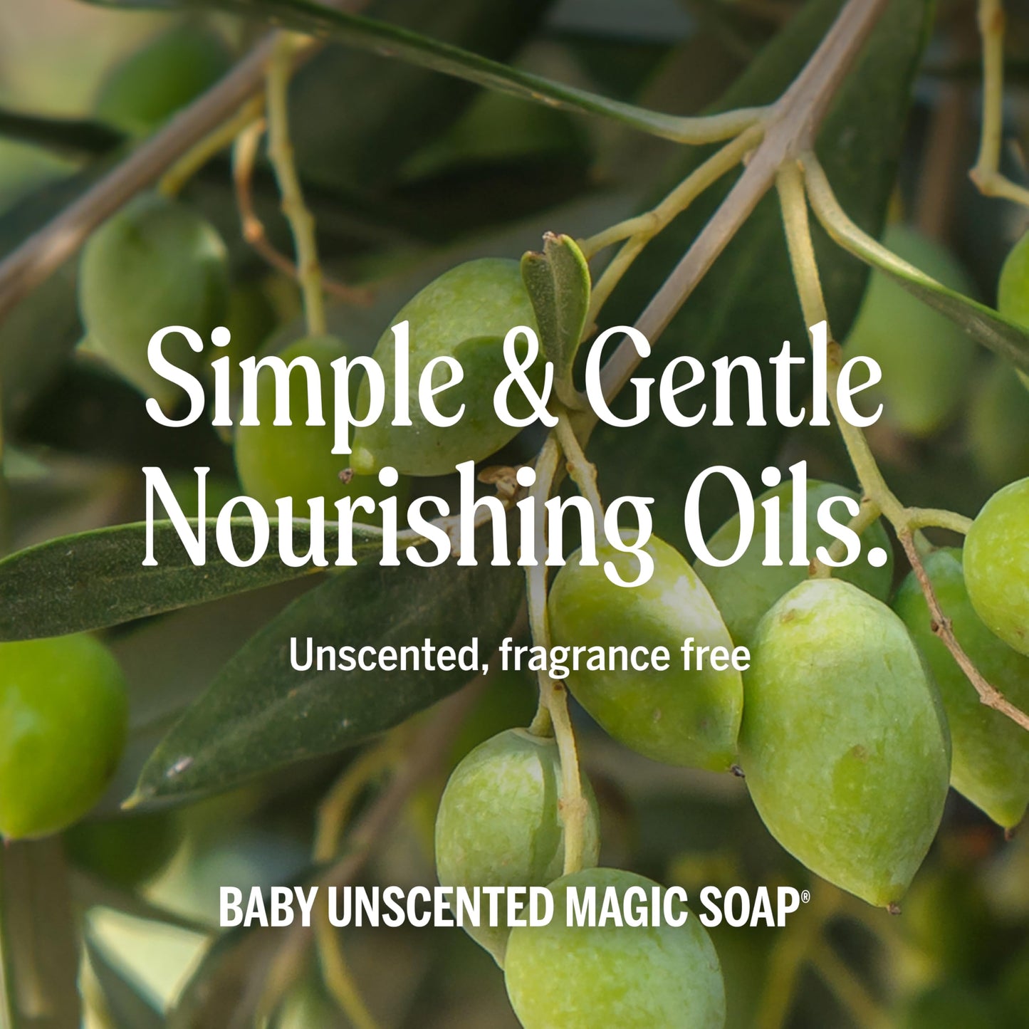 Dr. Bronner's Pure-Castile Magic Liquid Soap (Baby Unscented, 8 Ounce)- Made with Regenerative Organic Certified Oils, For Face Dr. Bronner's