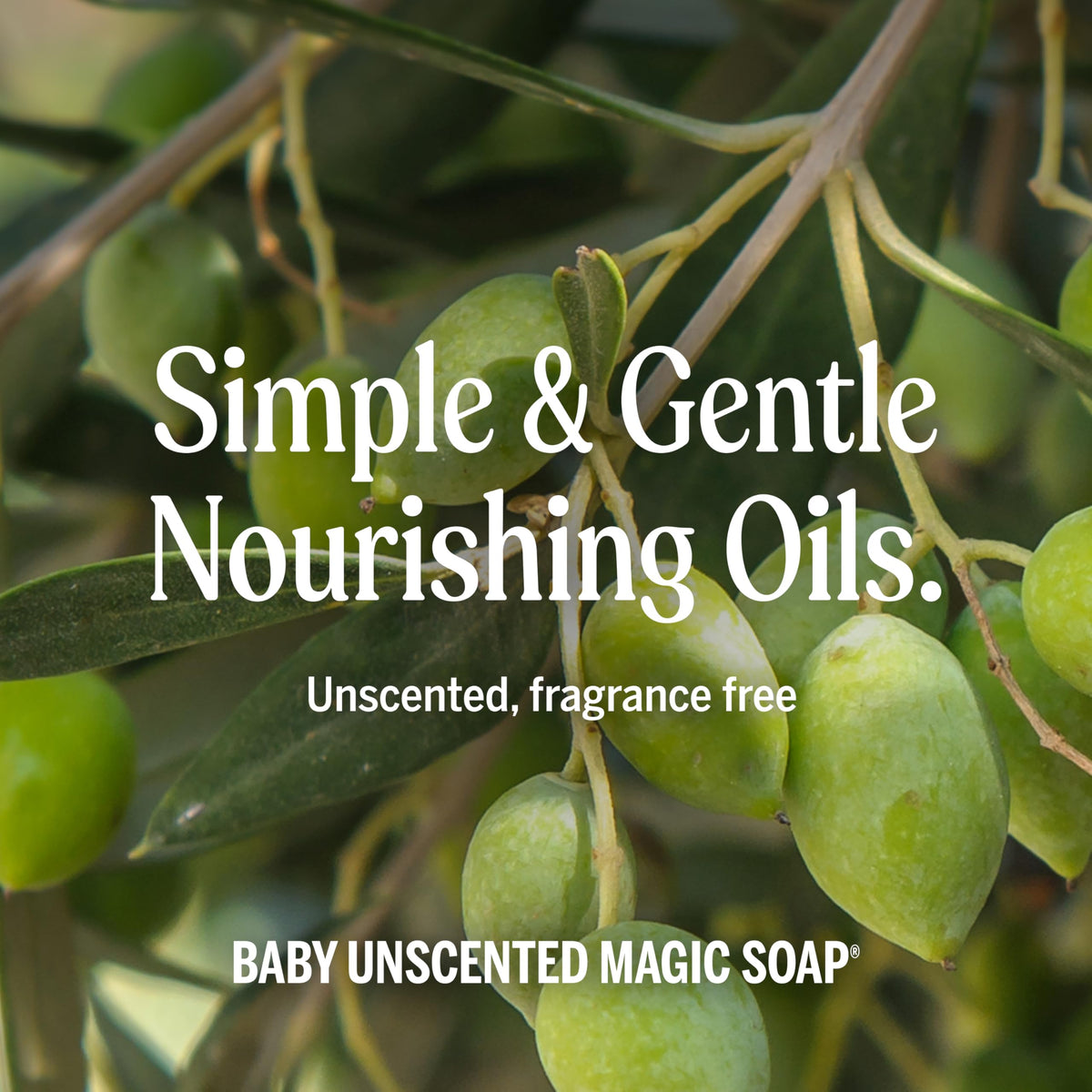 Dr. Bronner's Baby Unscented Pure-Castile Liquid Soap, No Fragrance, 8 oz Dr. Bronner's