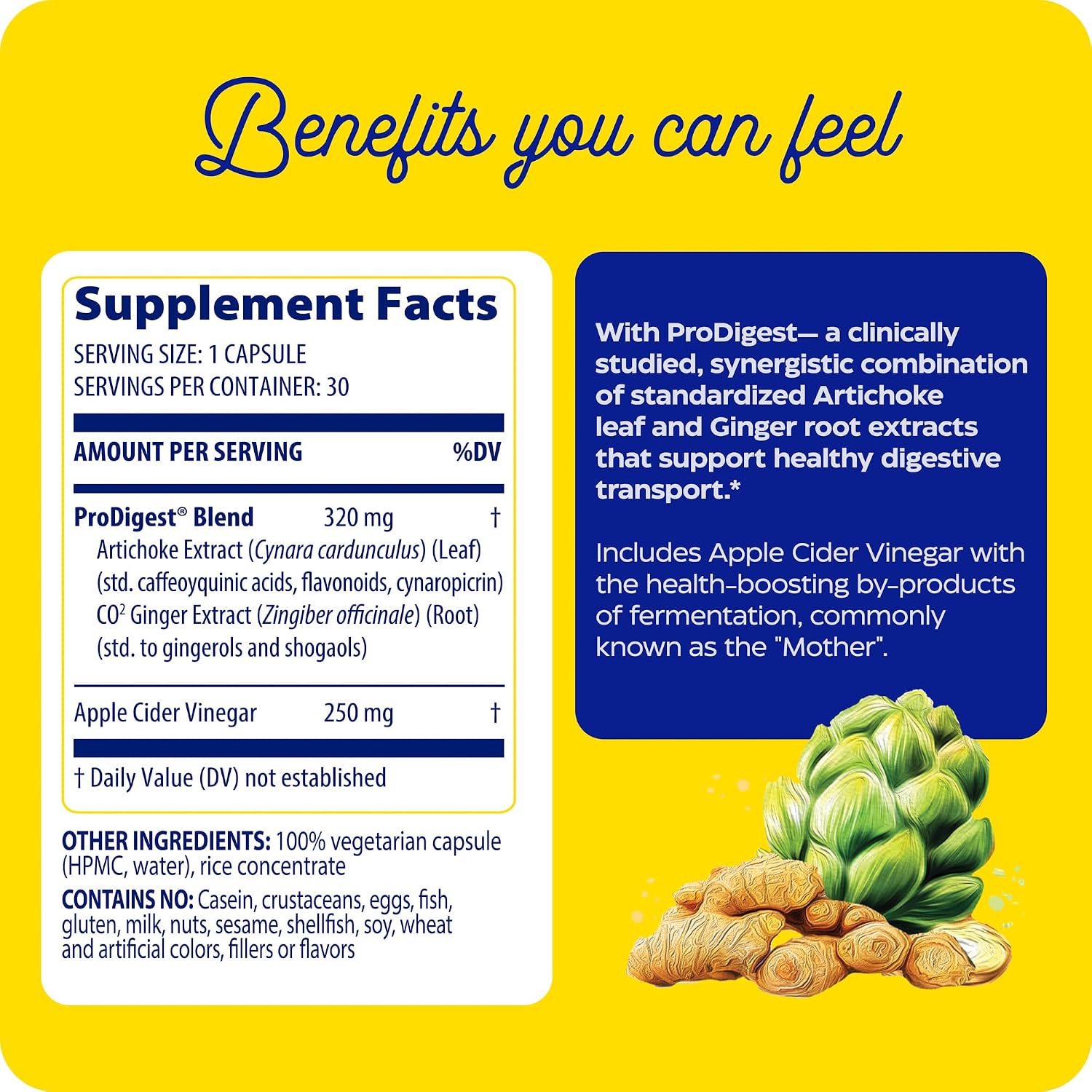 Enzymedica Gut Motility Supplement for Men & Women - Apple Cider Vinegar Capsules with Artichoke & Ginger Extract, Digestive Health Support for Adults, Reduces Occasional Bloating & Gas - 30 Caps | Artichoke, Ginger Gsupps Australia