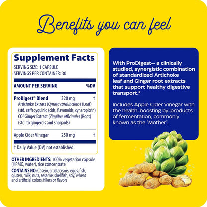 Enzymedica Gut Motility Supplement for Men & Women - Apple Cider Vinegar Capsules with Artichoke & Ginger Extract, Digestive Health Support for Adults, Reduces Occasional Bloating & Gas - 30 Caps | Artichoke, Ginger Gsupps Australia