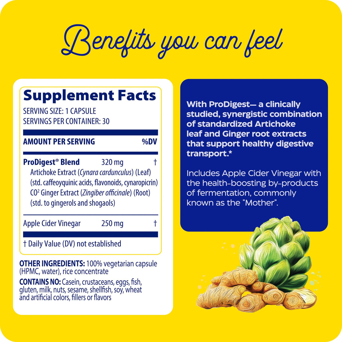 Enzymedica Gut Motility Supplement for Men & Women - Apple Cider Vinegar Capsules with Artichoke & Ginger Extract, Digestive Health Support for Adults Enzymedica