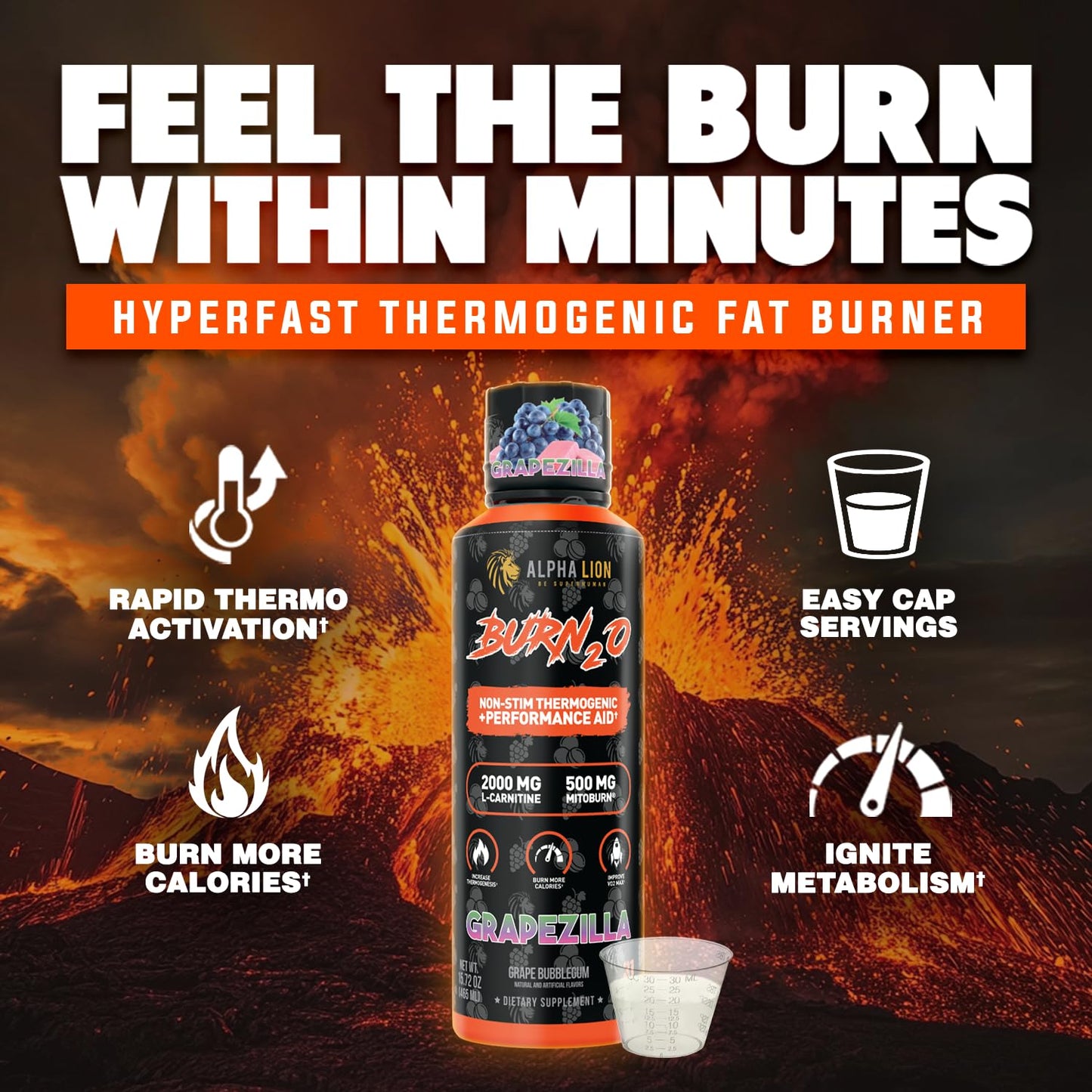 ALPHA LION Burn2O L-Carnitine Liquid 2000mg, Premium Liquid Fat Burner & Pre-Workout Supplement for Men & Women - Natural Energy & Metabolism Booster for Weight Loss - ShredBerry
