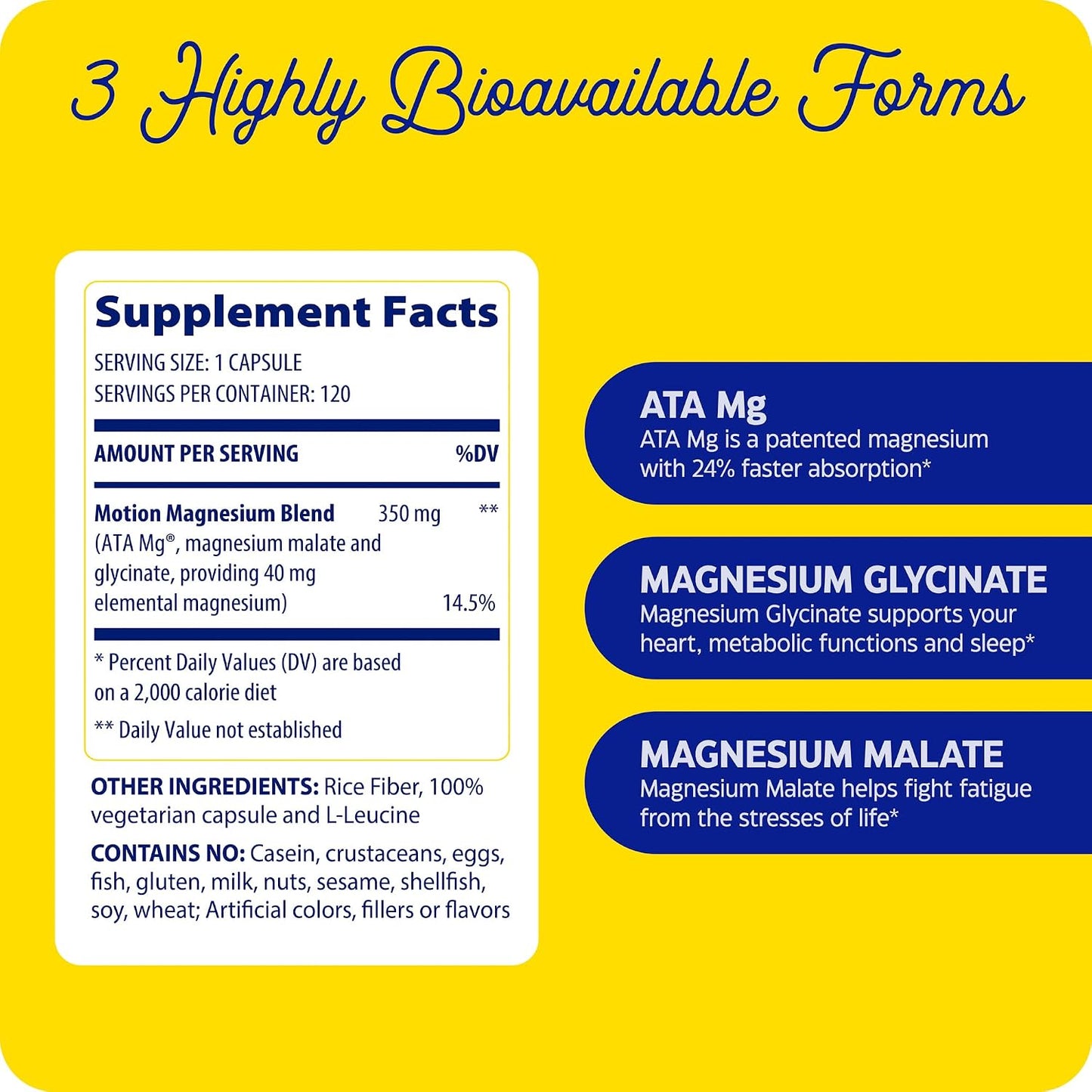 Enzymedica Magnesium Motion Supplement for Women & Men - Triple Magnesium Complex, ATA Mg, Malate & Glycinate, Muscle & Bone Health Support Capsules, High Bioavailability, Vegan, Gluten Free- 120 Caps Gsupps Australia