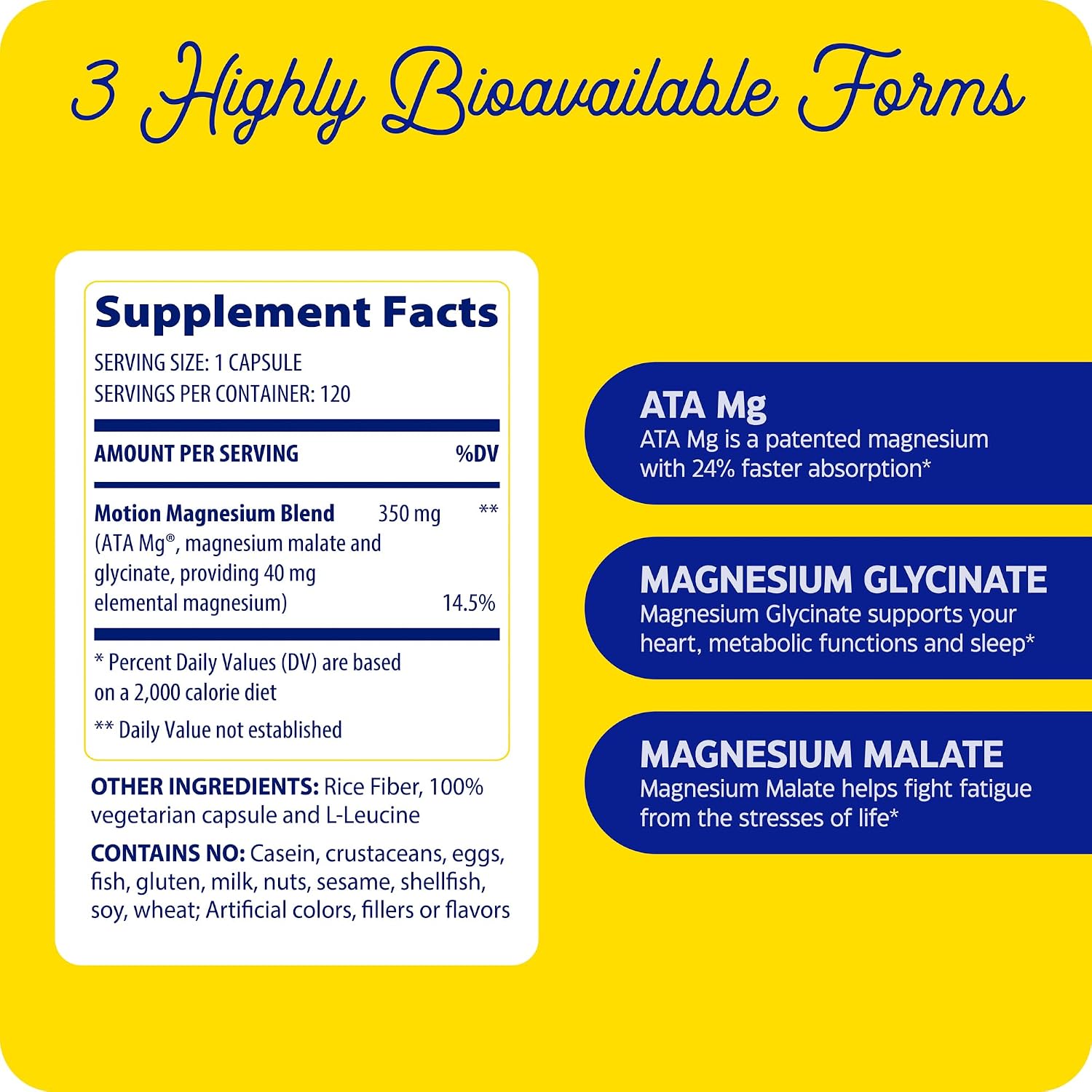 Enzymedica Magnesium Motion Supplement for Women & Men - Triple Magnesium Complex, ATA Mg, Malate & Glycinate, Muscle & Bone Health Support Capsules, High Bioavailability, Vegan, Gluten Free- 120 Caps Gsupps Australia