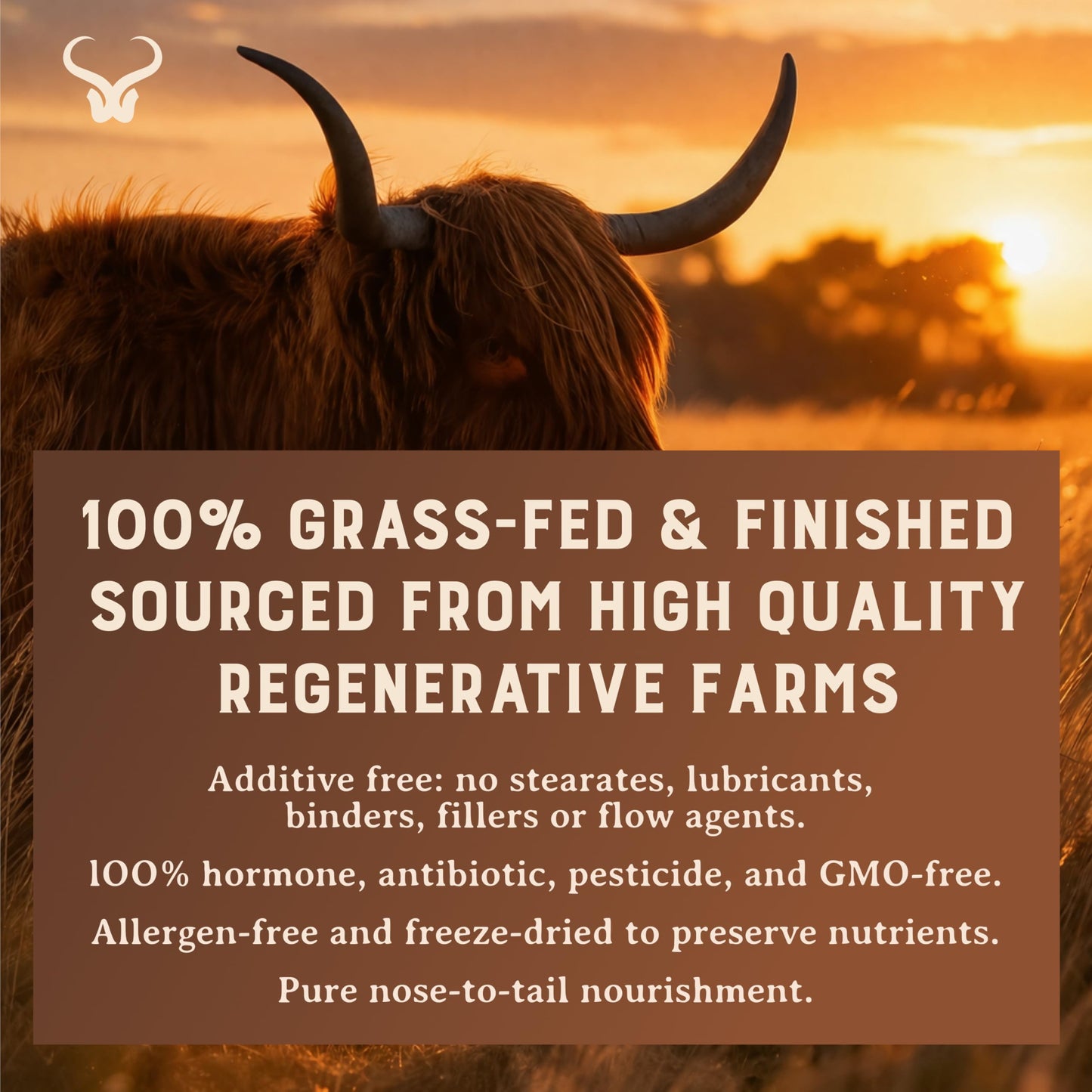 HEART & SOIL 100% Grass Fed & Finished Colostrum Supplement from Regenerative Cattle for Gut, Muscle & Immune Health – 3000mg Bovine Colostrum Capsules - Gut Health for Men & Women –180 Capsules