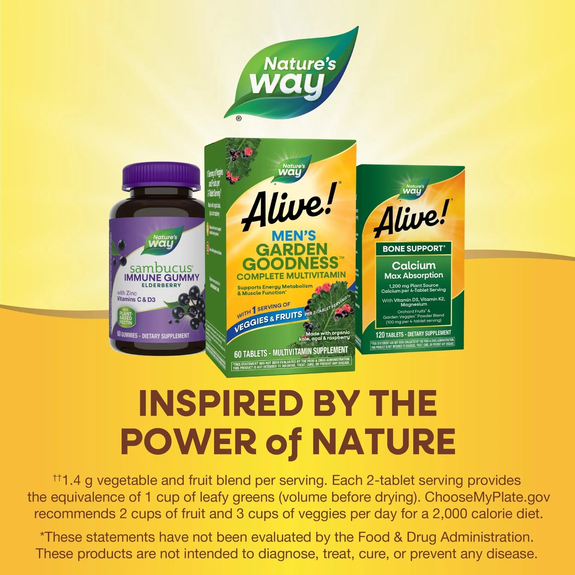 Nature's Way Alive! Garden Goodness Men's Multivitamin, Veggie & Fruit Blend (1400mg per serving), Made with Organic Kale, 60 Count Nature's Way buy australia supplements