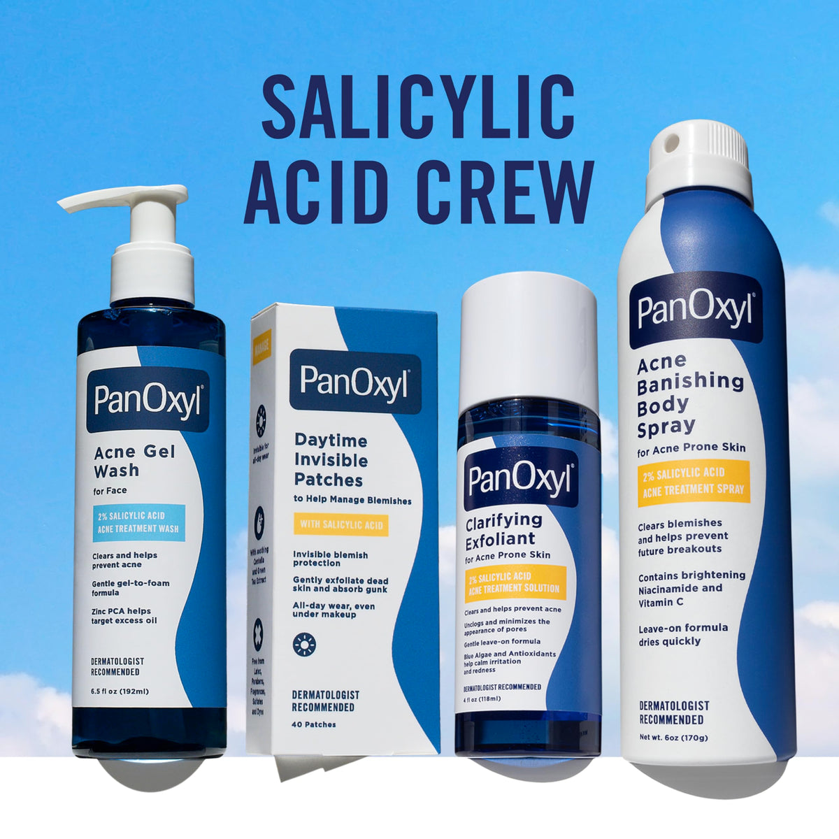 PanOxyl Acne Gel Wash, 2% Salicylic Acid, For Face, 6.5 fl oz PanOxyl