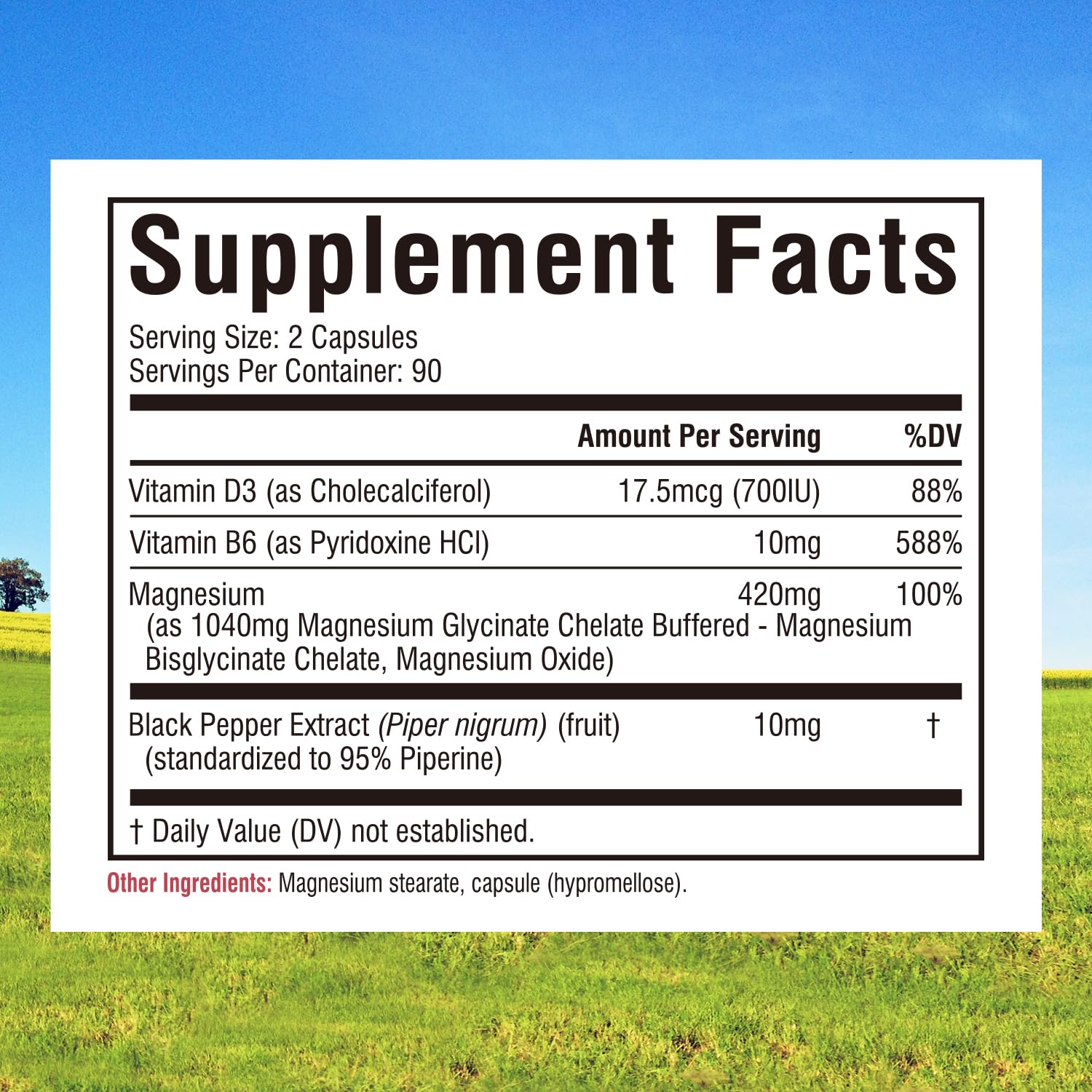 Innate Vitality Magnesium Glycinate Complex, 420mg Elemental Magnesium Per Serving, Enhanced Absorption, Black Pepper, Vitamin D3 & B6, Sleep Mood Bone Nerve Support, 180 Caps Innate Vitality buy australia supplements