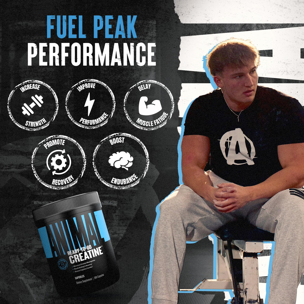 Animal Micronized Creatine Monohydrate Capsules - 300 Caps, 2500mg per Serving to Support Muscle Growth, Endurance, ATP Production, Cognitive Function, Strength Animal