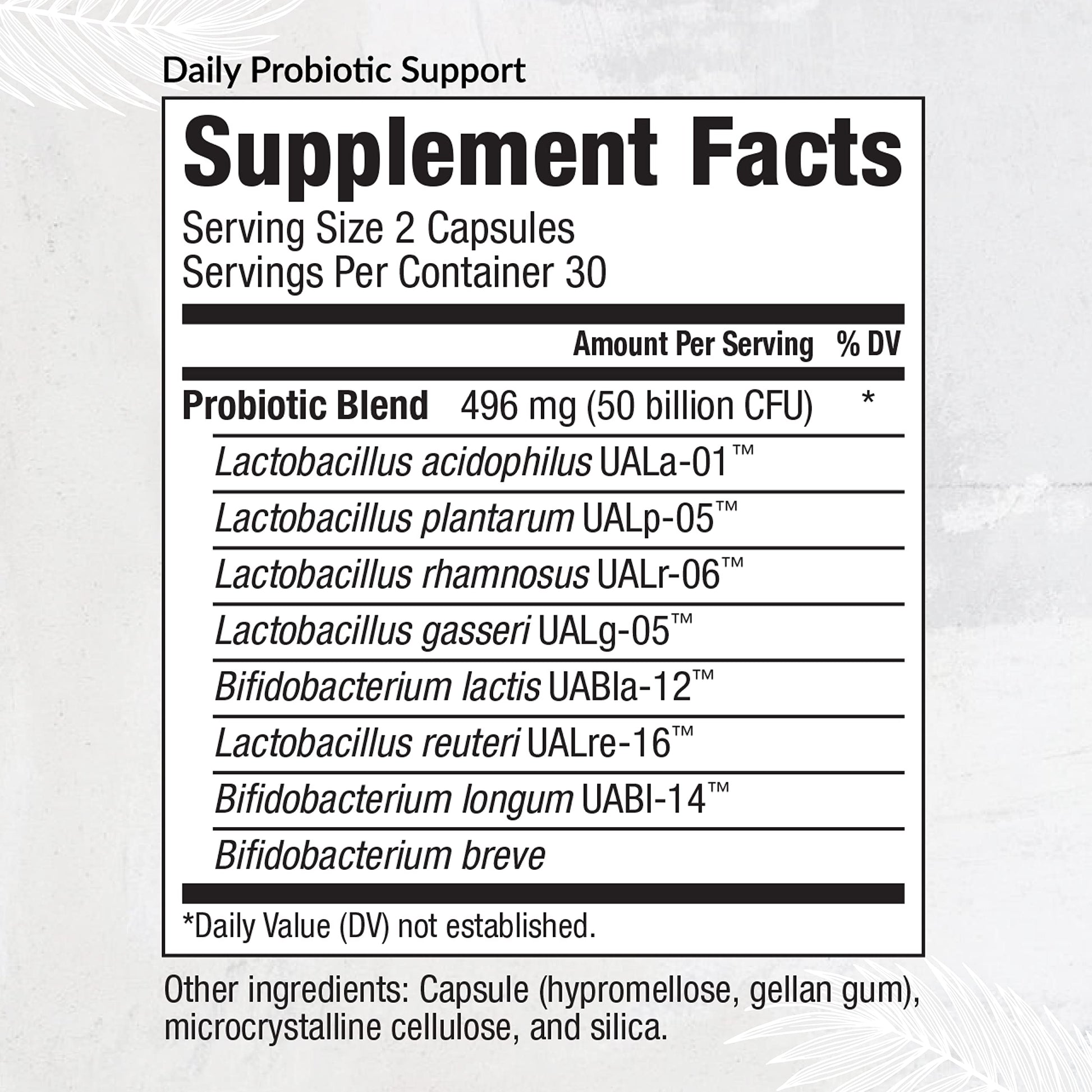 Equilife Daily Probiotic Support, 50 Billion CFU, 8 Probiotic Strains, Digestive and Gut Health Supplement for Men and Women, Gluten Free, Soy and Dairy Free, Non GMO, American Made, 60 Capsules Equilife buy australia supplements