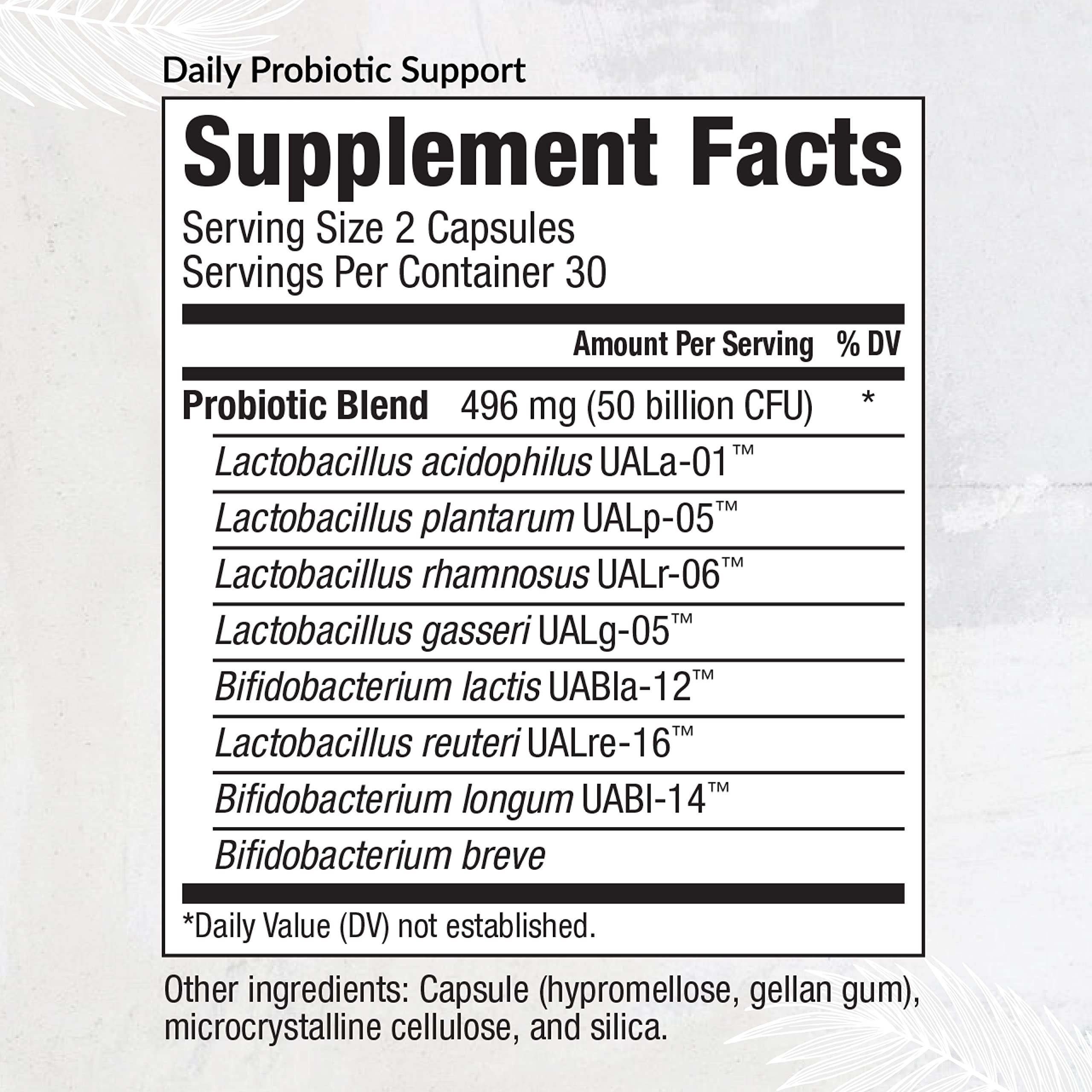Equilife Daily Probiotic Support, 50 Billion CFU, 8 Probiotic Strains, Digestive and Gut Health Supplement for Men and Women, Gluten Free, Soy and Dairy Free, Non GMO, American Made, 60 Capsules Equilife buy australia supplements