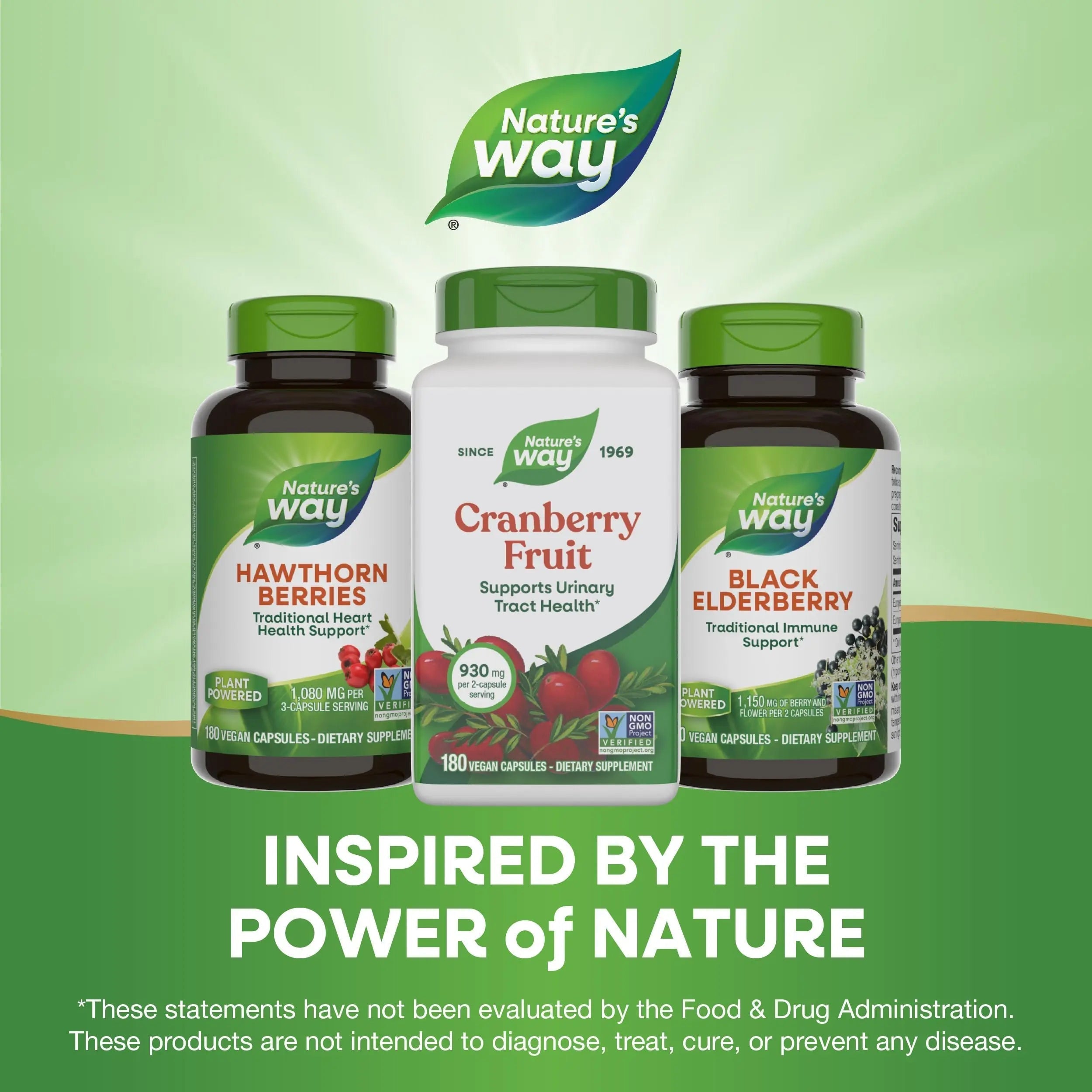 Nature's Way Cranberry Fruit, Cranberry Supplements, Supports Urinary Tract Health*, 930 mg per 2-Capsule Serving, 180 Capsules (Packaging May Vary) Nature's Way buy australia supplements