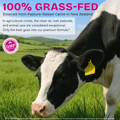Beef Organ Supplement for Women - Grass-Fed Beef Liver, Kidney, Heart, Uterus, Ovary - Supports Female Energy & Hormone Balance - Pasture Raised in New Zealand BUCAOAGU