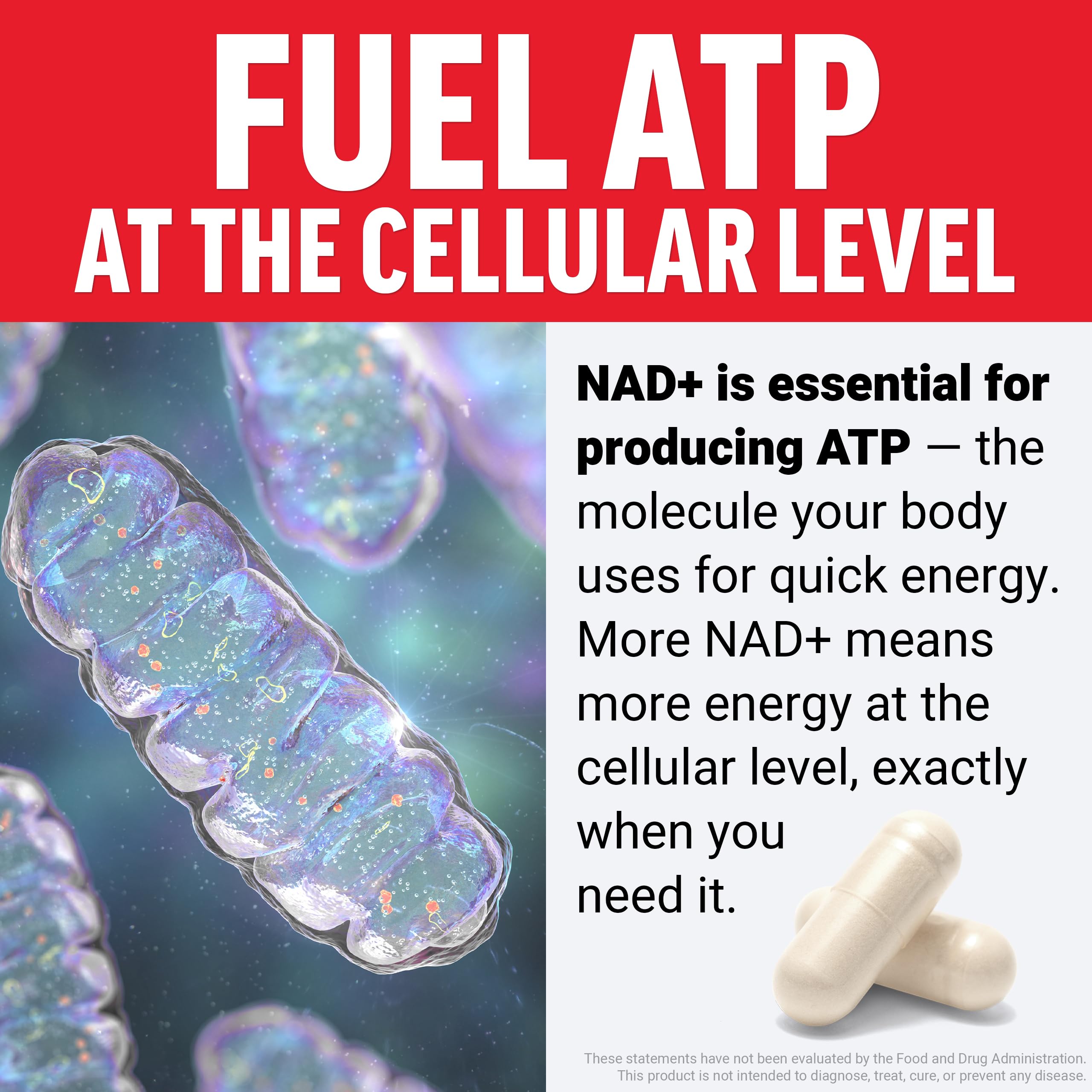 Force Factor NMN Supplement, Nicotinamide Mononucleotide to Support Healthy Aging and Energy Metabolism, Boosts NAD+ Levels, No Gelatin, Non-GMO, 30 Vegetable Capsules Force Factor buy australia supplements