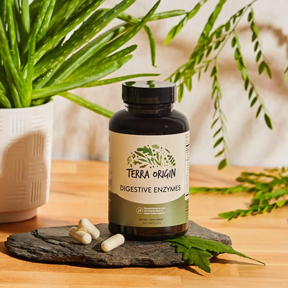 TERRA ORIGIN Digestive Enzymes with Probiotics & Prebiotics | 60 Capsules | Supports Digestive Gut Health | Non GMO, Gluten Free, TERRA ORIGIN