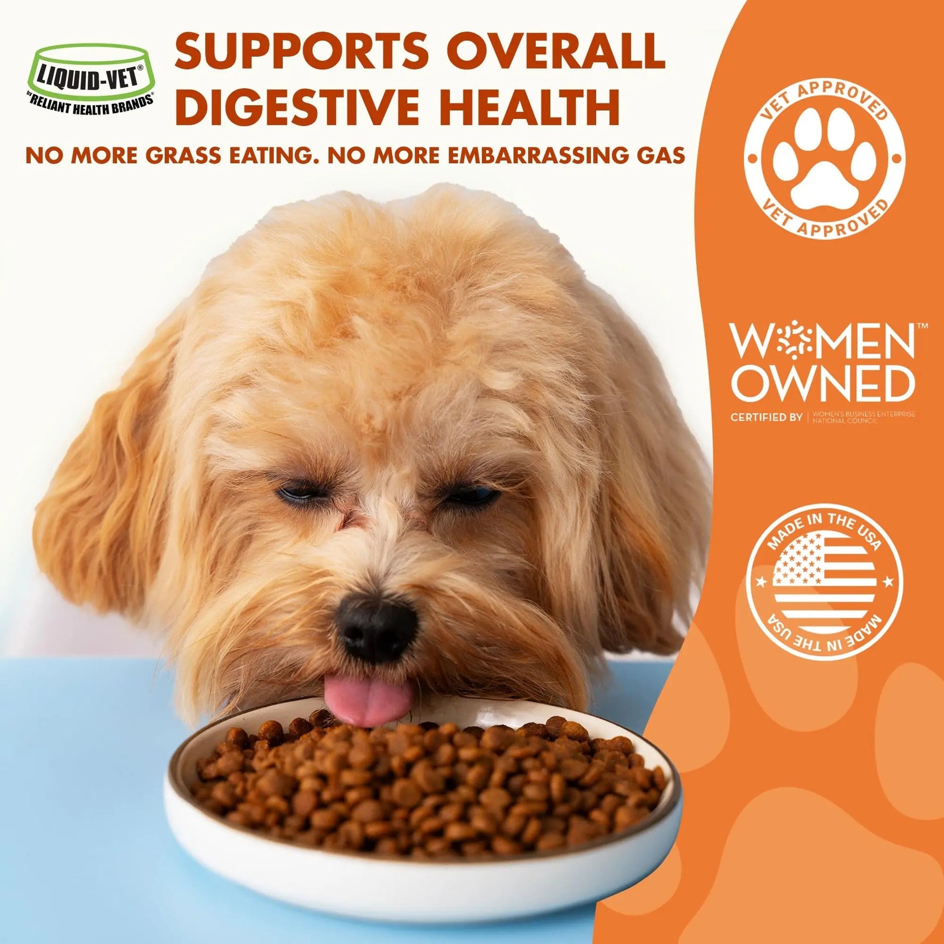 Pre & PostBiotic Support for Dogs – Digestive Upset, Stool Quality & Sensitive Stomach Support – Easy Liquid Formula for Picky Eaters LIQUID-VET buy australia supplements