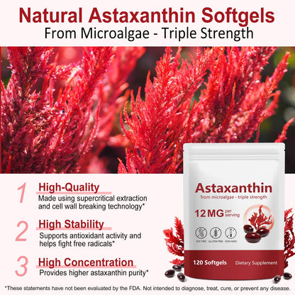 Xaarty Premium Astaxanthin 12mg, Natural Antioxidant Supplement for Eye, Joint, Skin Health,Microalgae Source, 4 Month Supply Xaarty