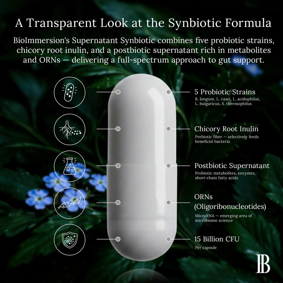 BioImmersion Supernatant Synbiotic - Prebiotic Probiotic Postbiotic - Eases Digestive Discomfort, Gut Imbalance & Yeast Overgrowth - Immune & Microbiome Support BioImmersion