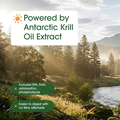 NatureBell Antarctic Krill Oil 1,000mg - 240 Softgels - Omega-3 Heart, Joint & Immune Health Support* NatureBell
