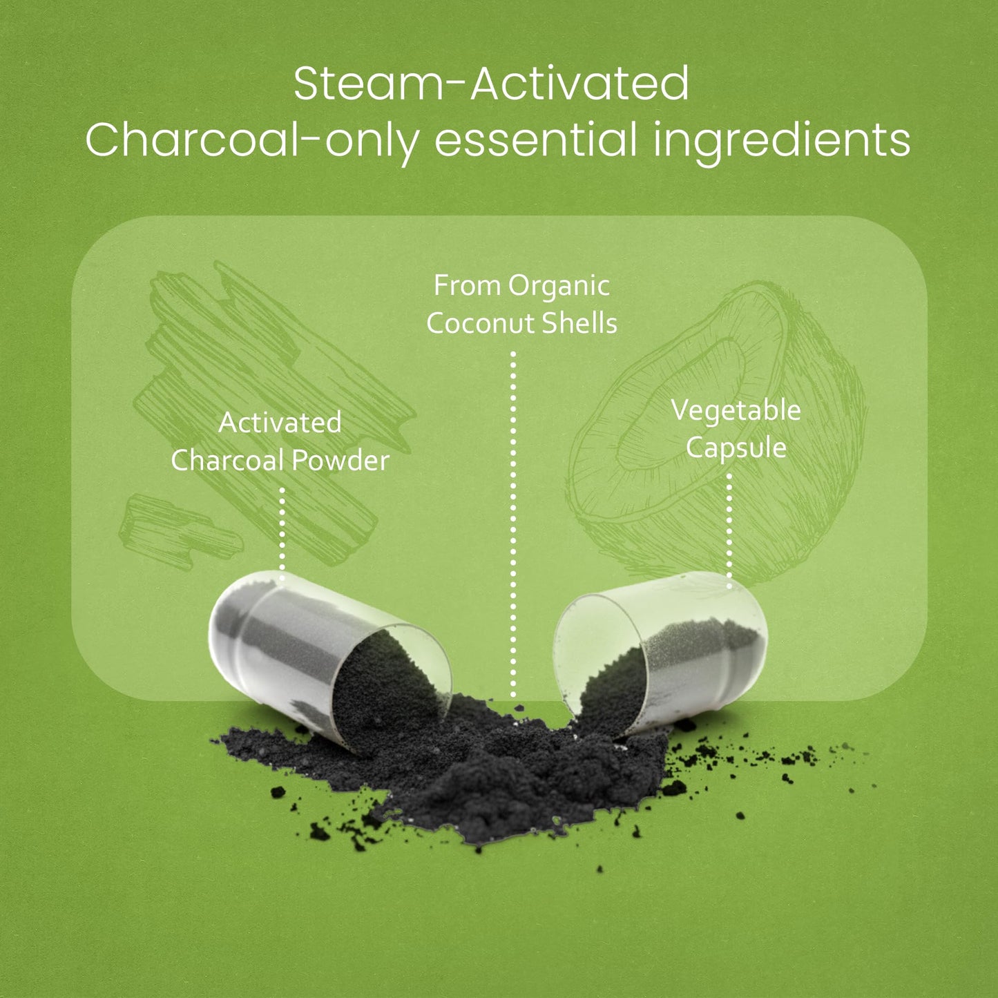 NaturaLife Labs Activated Charcoal 1200 mg per Serving – from Coconut Shells – 100 Veg Capsules – Non-GMO, Gluten-Free, Vegan NaturaLife Labs