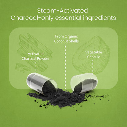 NaturaLife Labs Activated Charcoal 1200 mg per Serving – from Coconut Shells – 100 Veg Capsules – Non-GMO, Gluten-Free, Vegan NaturaLife Labs