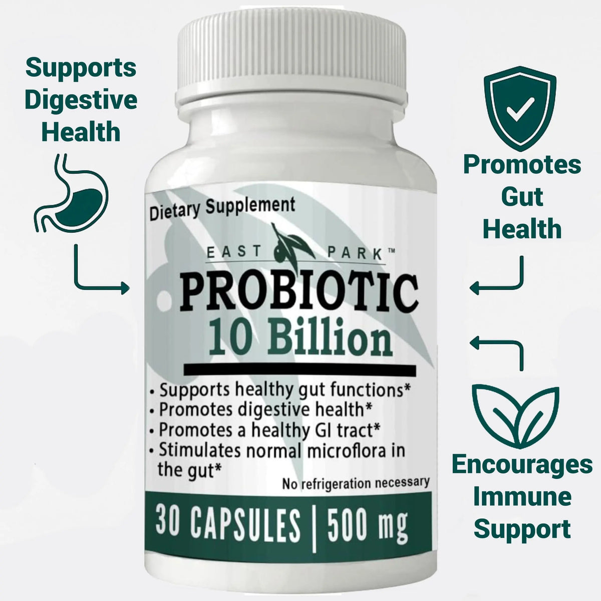 East Park Research d-Lenolate Probiotic Supplement | Probiotic 10 Billion CFUs Supports Gut & Digestive Health | Dietary Supplement Probiotics EAST PARK