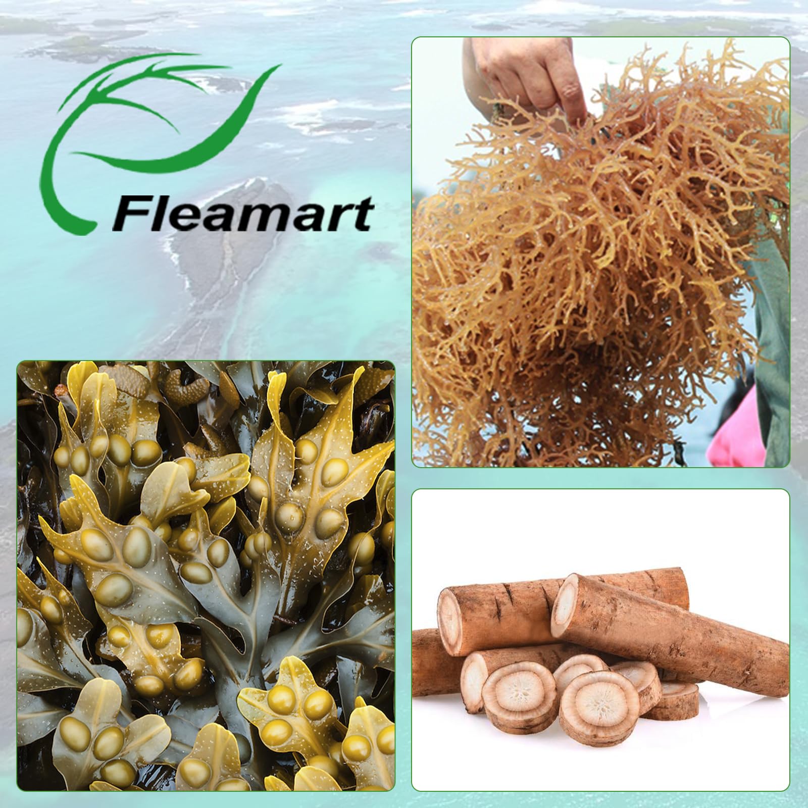 Fleamart Irish Sea Moss Capsules 120ct Raw Organic Sea Moss Wildcrafted Bladderwrack Fleamart buy australia supplements