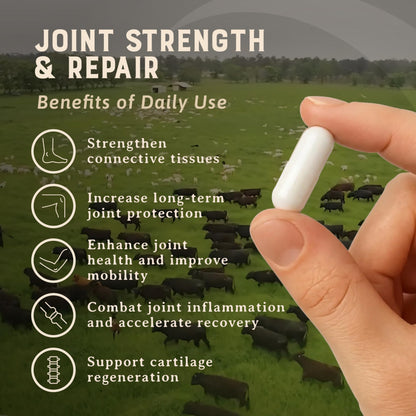 Heart & Soil – 100% Grass Fed & Finished Hair Skin and Nails Supplement from Regenerative Cattle with Cartilage, Liver, & Bone Marrow – 3000mg Beef Organs for Women & Men – Glass Bottle – 180 Capsules