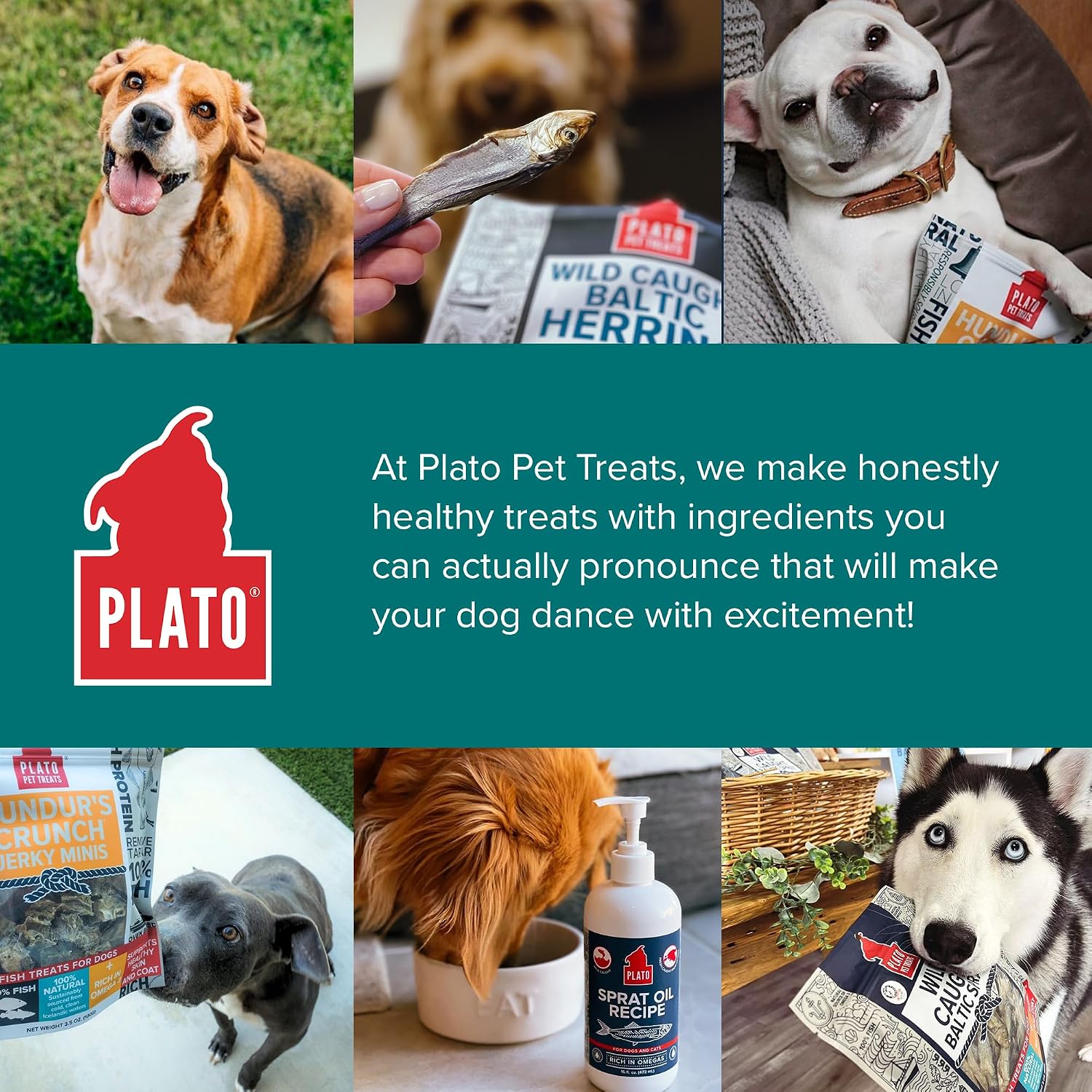 Plato Pet Treats Fish Dog Treats - Air-Dried, Single Ingredient Pet Treat - Omega 3 & 6 Fatty Acids to Support Skin and Coat - 100% Whole Fish - Wild Caught Baltic Herring - 3oz - 2 Pack Gsupps Australia