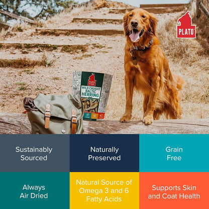 Plato Pet Treats Fish Dog Treats - Air-Dried, Single Ingredient Pet Treat - Omega 3 & 6 Fatty Acids to Support Skin and Coat - 100% Whole Fish - Wild Caught Baltic Herring - 3oz - 2 Pack Gsupps Australia