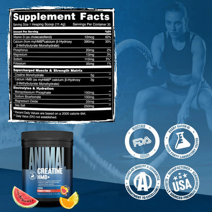 Animal Creatine HMB Powder – 3g myHMB + 5g Creatine with Electrolytes for Recovery & Daily Energy – Power Punch Flavor, 30 Servings Animal