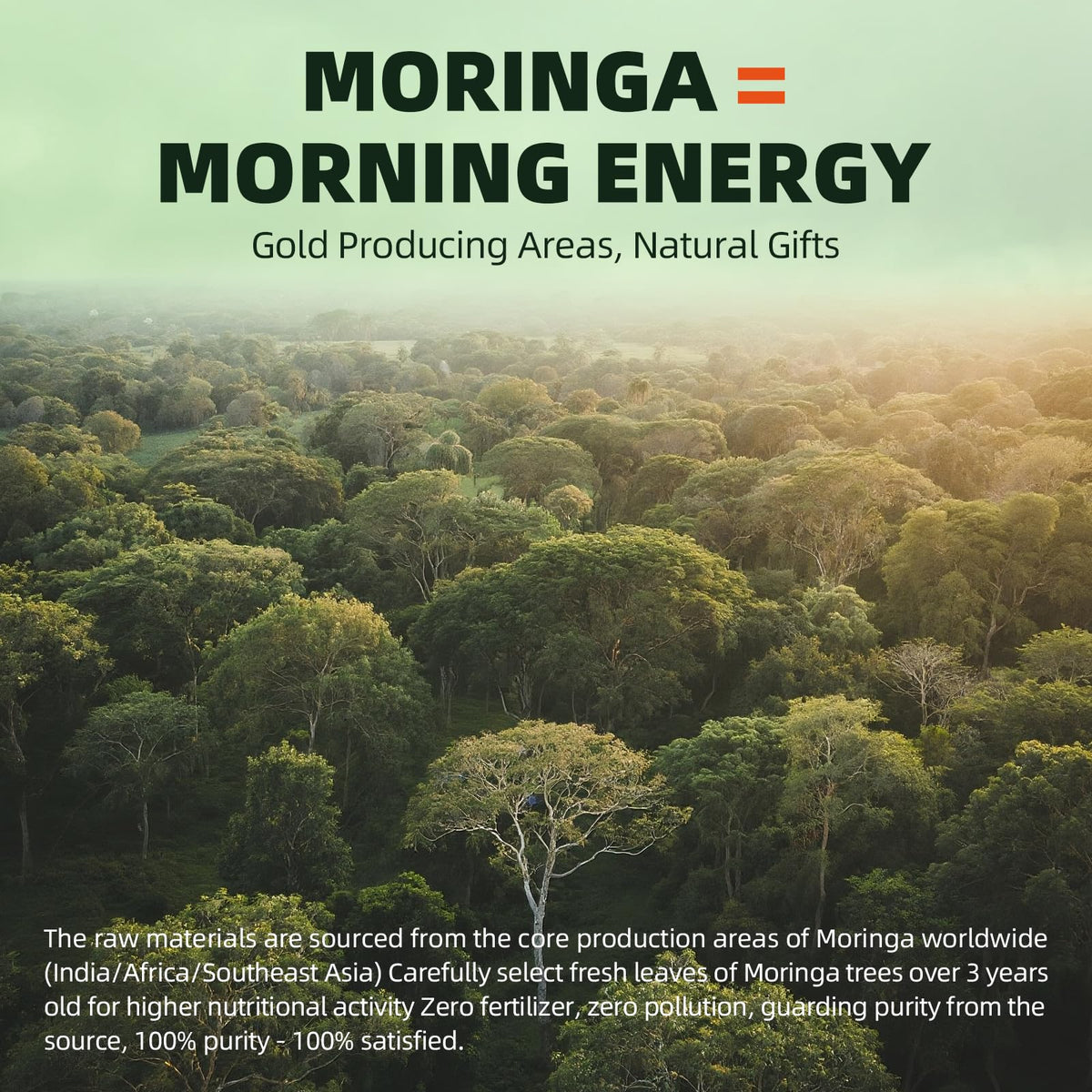 GREENPEOPLE Whole-Leaf Moringa Capsules 1500mg - High Potency 10:1 Moringa Oleifera Leaf Extract - Natural Green Superfood for Energy & Immune Support GREENPEOPLE