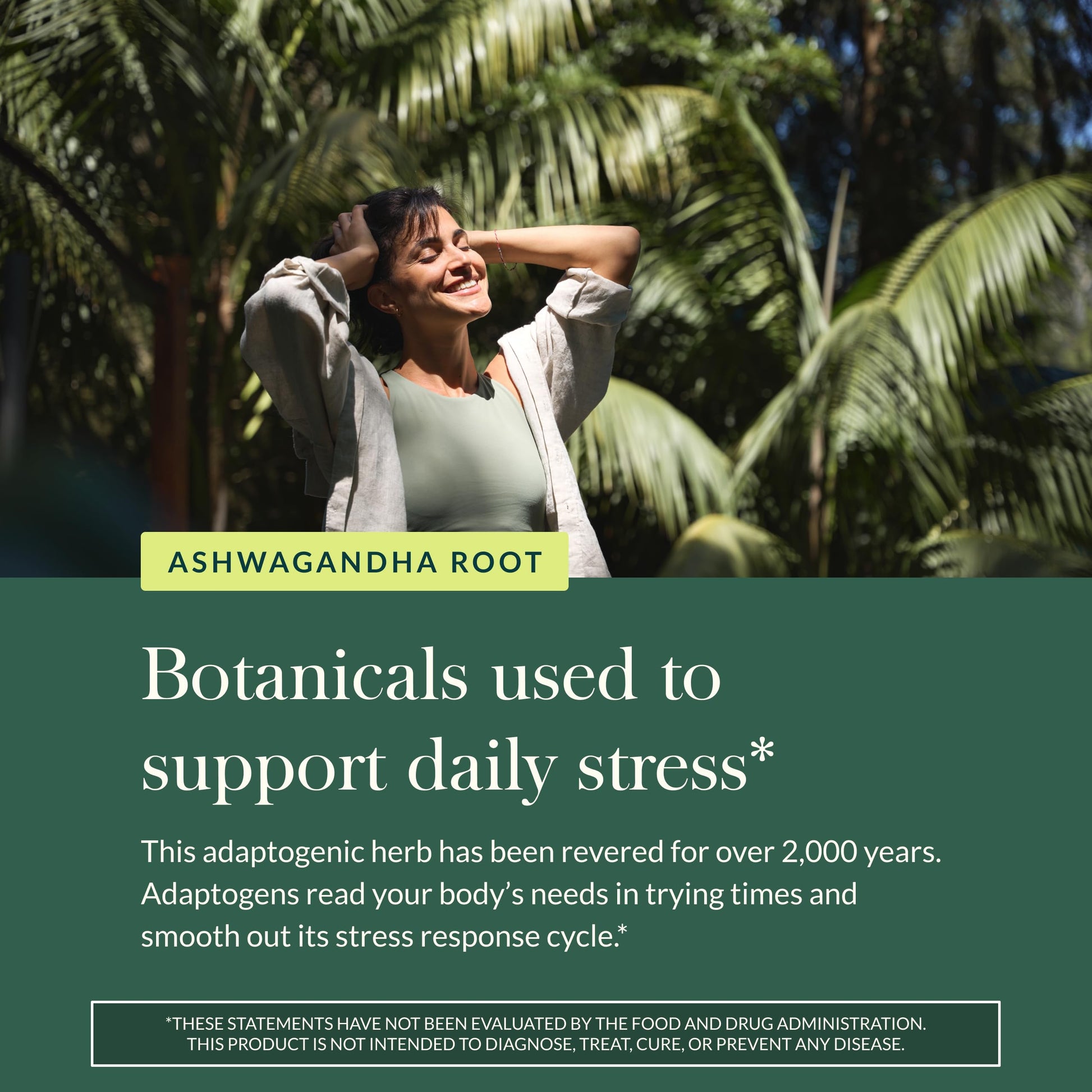 Gaia Herbs Ashwagandha Root - Stress Relief & Sleep Support Supplement - Supports Balanced Energy Levels & Positive Outlook* - 60 Vegan Liquid Phyto-Caps (30 Servings) Gaia Herbs buy australia supplements