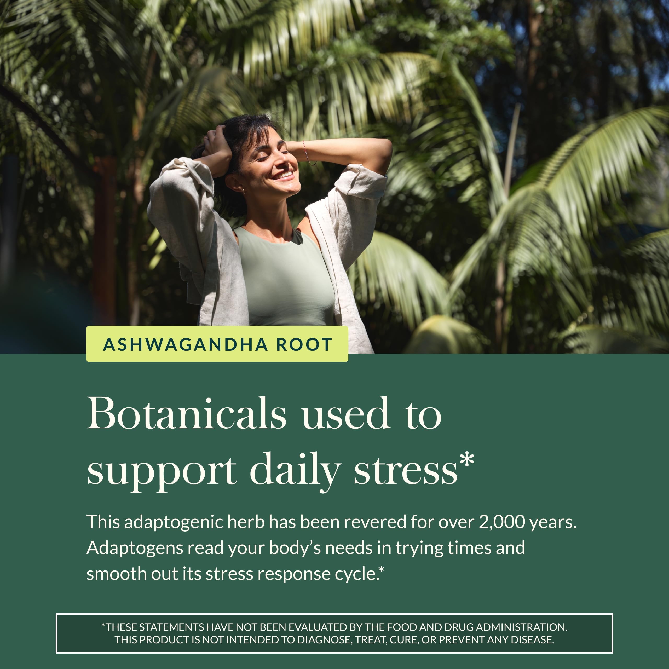 Gaia Herbs Ashwagandha Root - Stress Relief & Sleep Support Supplement - Supports Balanced Energy Levels & Positive Outlook* - 60 Vegan Liquid Phyto-Caps (30 Servings) Gaia Herbs buy australia supplements