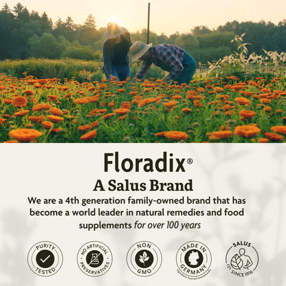 Floradix Iron & Herbs - Liquid Herbal Supplement for Energy Support - Iron Supplement with Vitamin C & Vitamin B Complex - for Men & Women - 8.5 fl oz Floradix