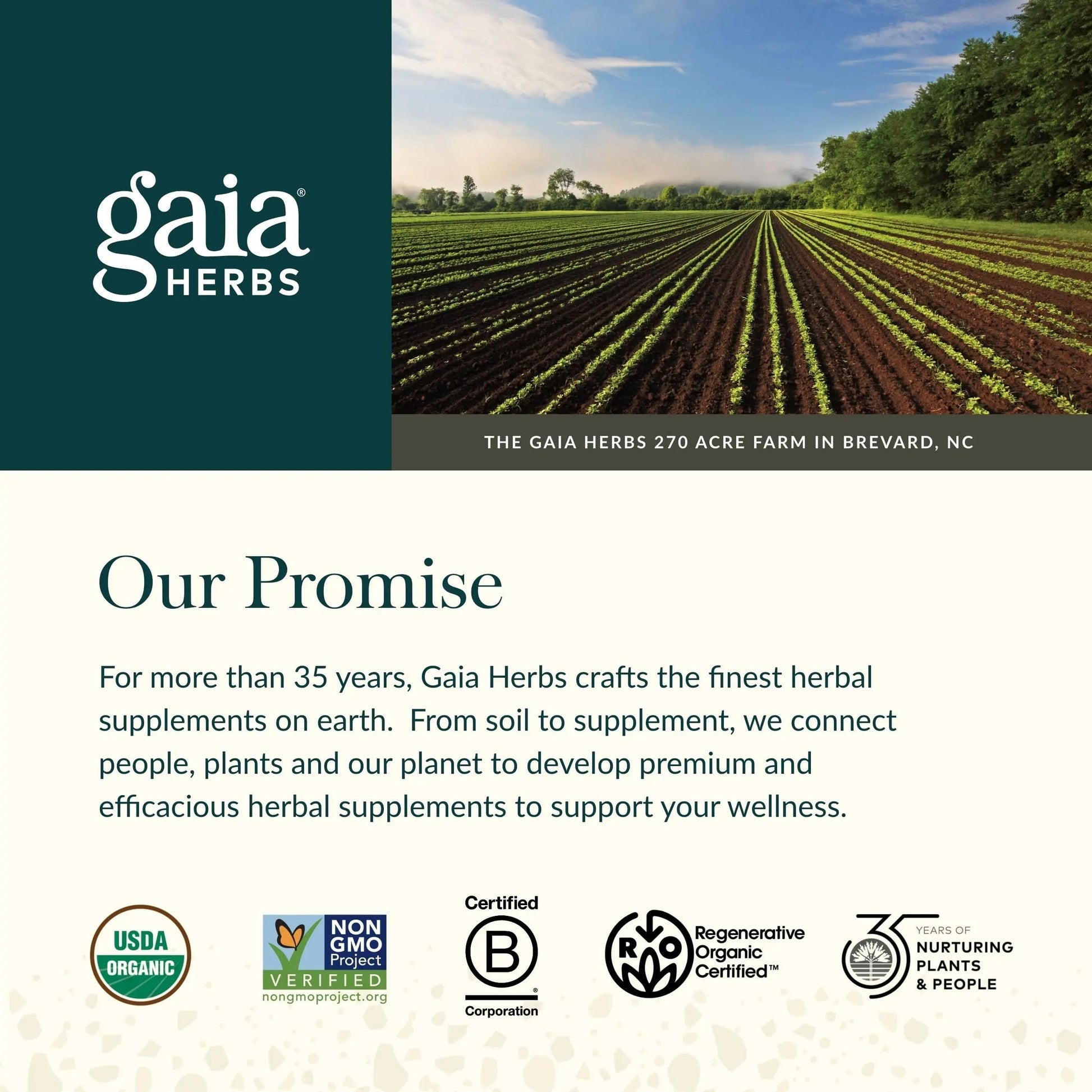 Gaia Herbs Ginger-Beet Postbiotic - Supplement for Gut & Heart Health Support* - Made with Fermented Beets & Ginger - Free from Dairy, Soy & Gluten - 60 Vegan Liquid Phyto-Caps (30 Servings) Gaia Herbs buy australia supplements